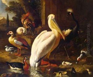 Birds in a Park 2