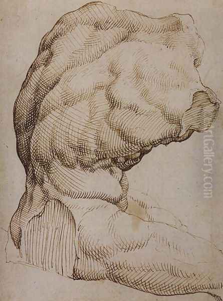 The Belvedere Torso 1532-37 - view 1