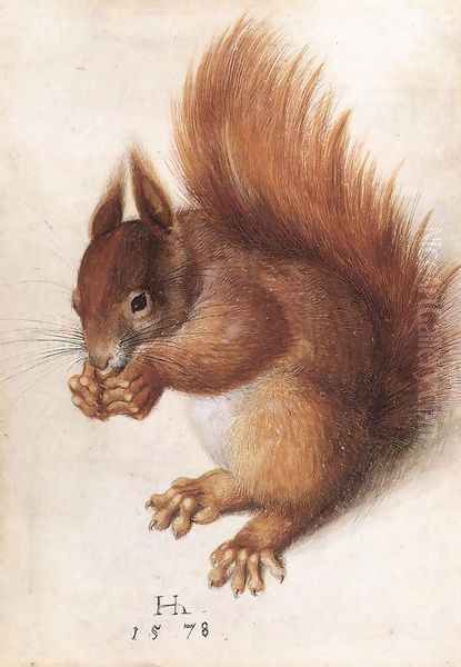 Squirrel - view 1