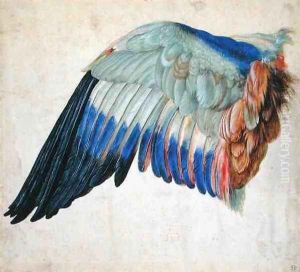 Wing of a Blue Roller by Hans Hoffmann