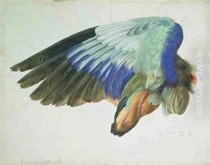 The Right Wing of a Blue Roller Coracia garrulus copy of an original by Albrecht Durer of 1512 by Hans Hoffmann