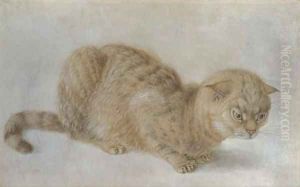 A crouching cat by Hans Hoffmann