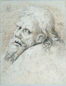 The Head of a bearded Man, turned to the left looking back by Hans Hoffmann