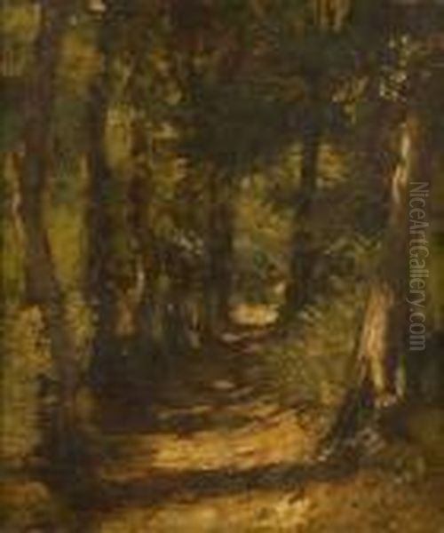 Sous-bois - view 1