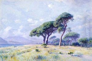 Cannes by William Stanley Haseltine