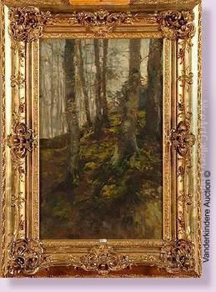 Coin De La Foret De Soignes - view 1