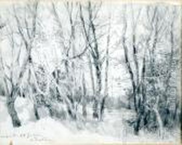 Sous-bois Dans Les Dunes A Nieuwpoort - view 1