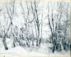 Sous-bois Dans Les Dunes A Nieuwpoort by Alfred Bastien