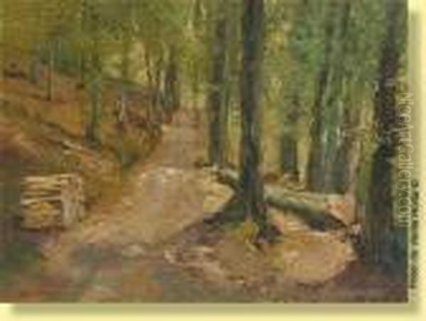 Sentier En Foret - view 1