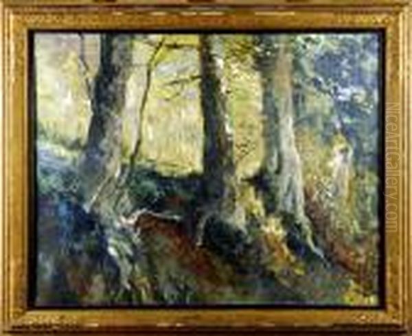 Sous-bois - view 1