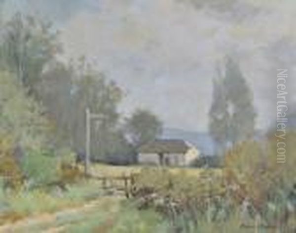 Rural Landscape - view 1