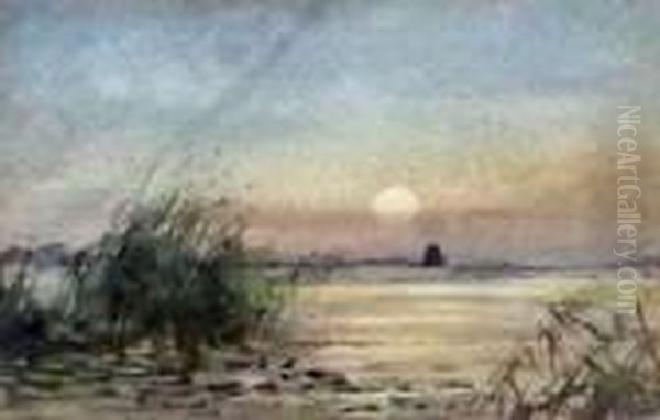 Distant View Of St Benet's Abbey - view 1