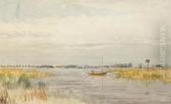 'horsey'; 'rockland' - view 1