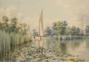 The Weir, South Walsham Broad by Stephen John Batchelder