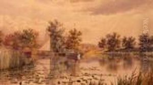 Salhouse Little
Broad