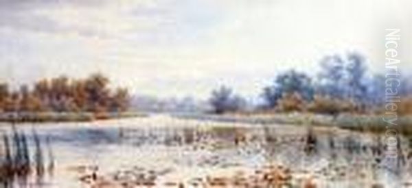 South Walsham Broad - view 1
