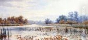 South Walsham Broad by Stephen John Batchelder