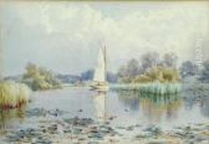 'calm', Salhouse Broad, River Bure 'calm', Salhouse Broad, River Bure