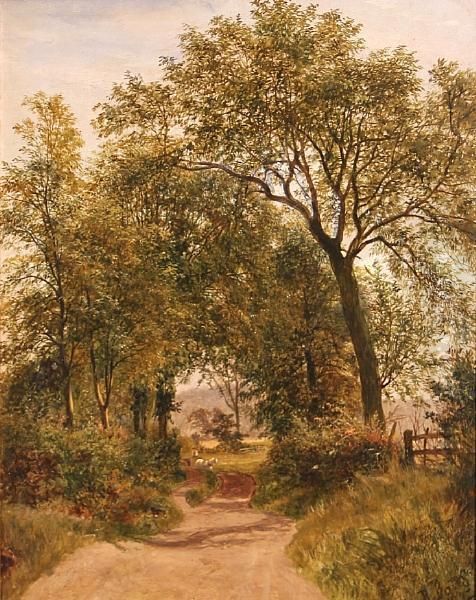 A Country Lane - view 1