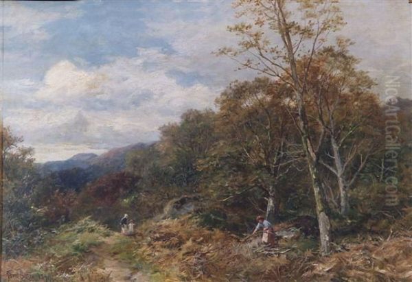 Woodland Scene - Capel Curig - view 1