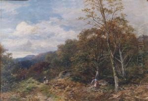Woodland Scene - Capel Curig