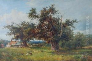 'yews At Cradley, Malvern'