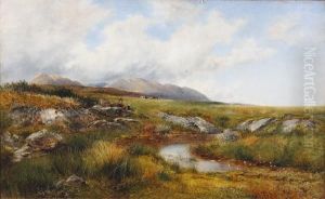 To A Moorland Hayfield