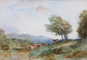 Down From The Hills. Ambleside by David Bates
