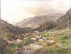 Highland Sheep by David Bates
