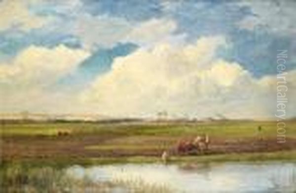 Camel And Cattle In Field - view 1