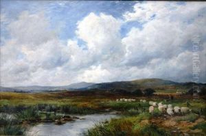 At Arthog Near Barmouth