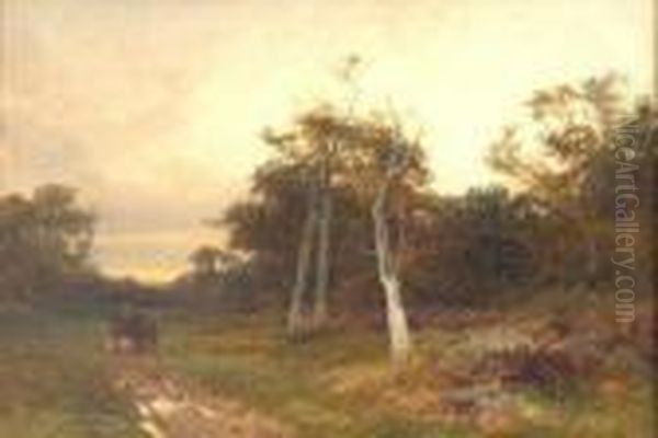 In The New Forest - view 1