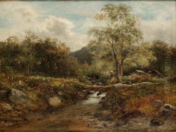 Brook At Capel Curin - view 1