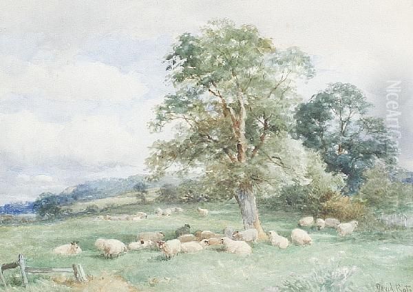 A Summer Afternoon, Leckhampton - view 1