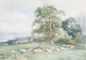 A Summer Afternoon, Leckhampton