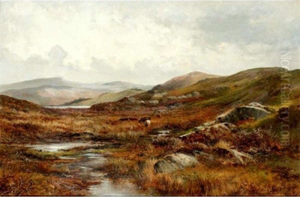 The Source Of The River - view 1