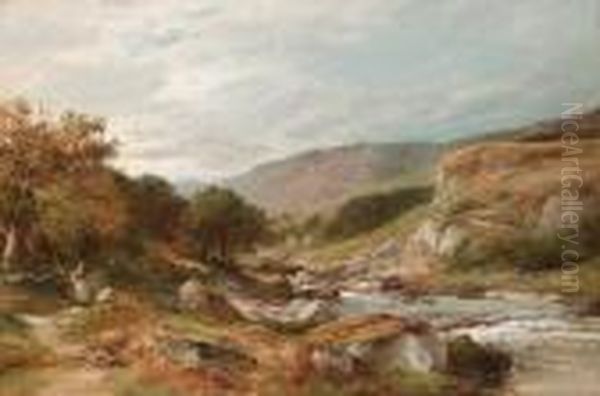 The Shepherd's Crag, Lledr Valley - view 1