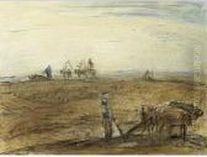 A Farmer And His Oxes Plowing, North Africa