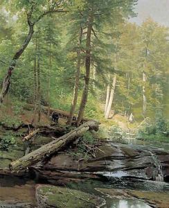 Bear Approaching a Forest Stream