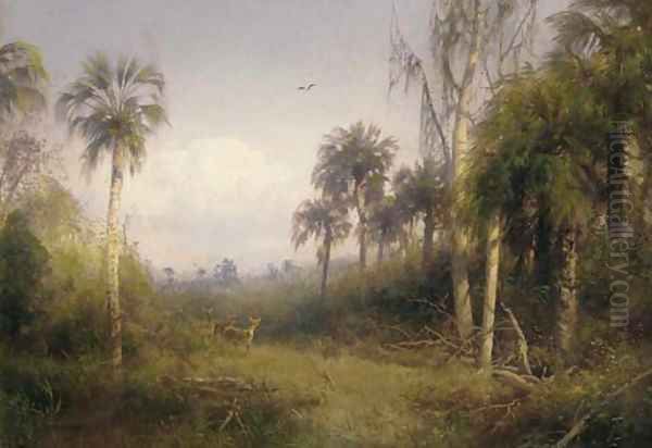 Florida Landscape - view 1