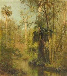 Edge of the Everglades