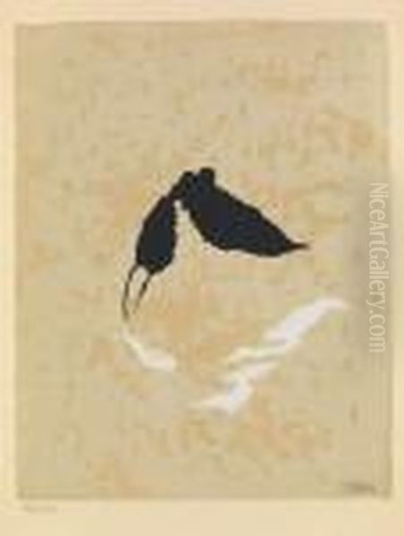 Taucher Mit Reflexion - view 1