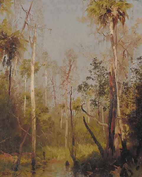Florida Landscape 2 - view 1