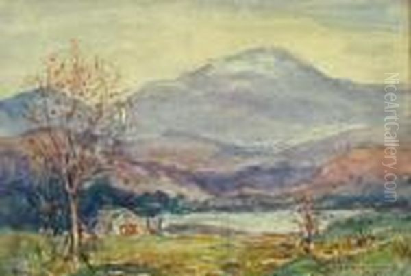 Mount Mowadnock - view 1