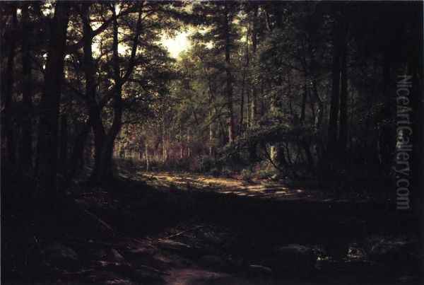 Corduroy Road - view 1