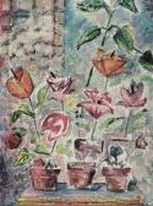 Flower Pots