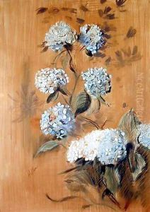 Hydrangeas