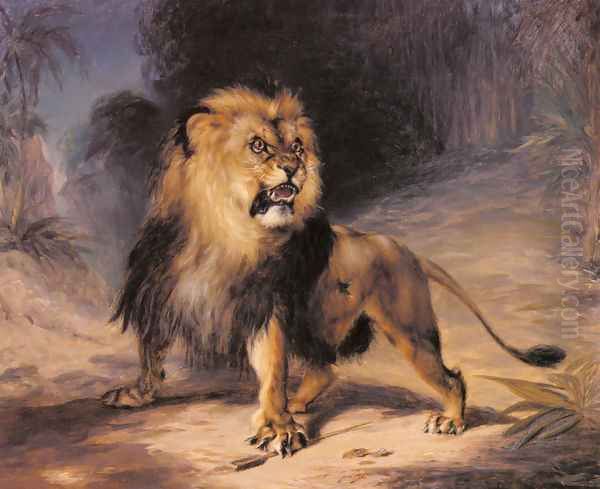 A Lion - view 1