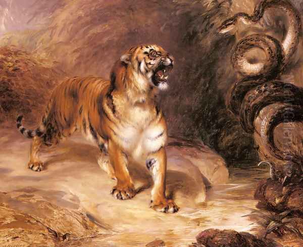 A Tiger and a Serpent - view 1