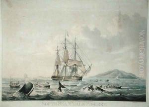 South Sea Whale Fishery
